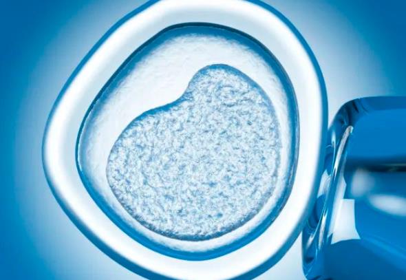 鎮江試管醫院成功率找南方試管嗎 鎮江四院試管嬰兒移植成功后的檢查常規檢查項目有哪些? ‘胎囊形狀看男女多少周’