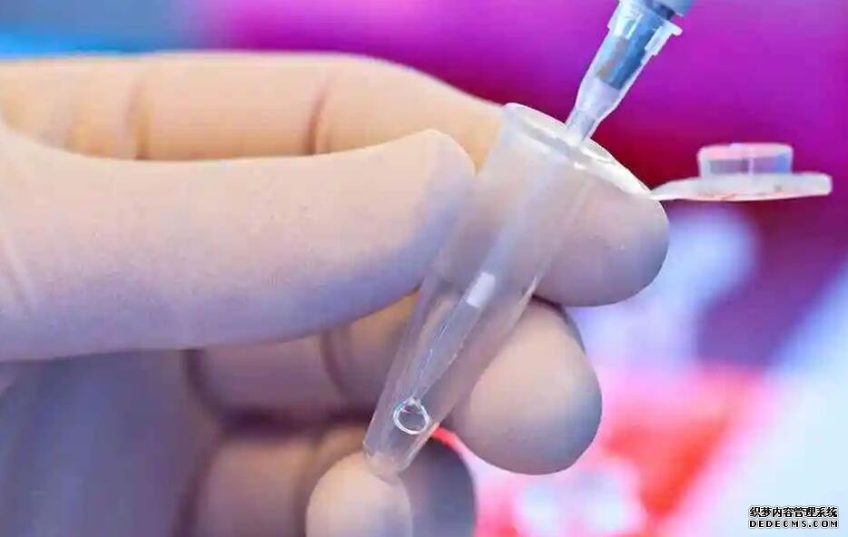 解密:輸卵管不通暢會懷孕嗎