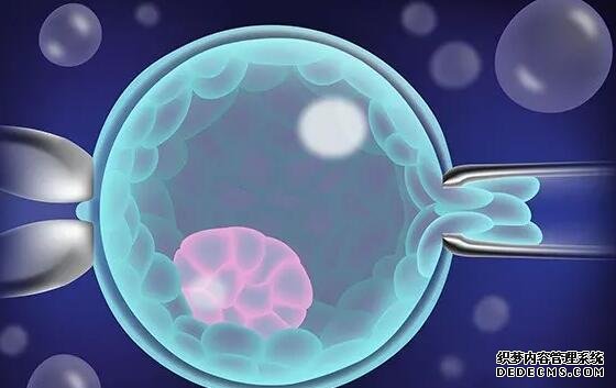 福州拉拉捐卵群 2022年福州婦幼三代試管嬰兒多少錢？福州婦幼三代試管費用參考 ‘四維孩子趴著看男女還準嗎’