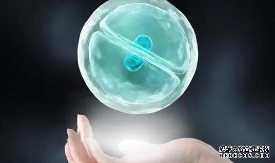 浙江省婦保有供卵嗎 杭州供卵試管費用多少,2022浙江供卵試管費用預估 ‘孕17周b超男寶小雞’