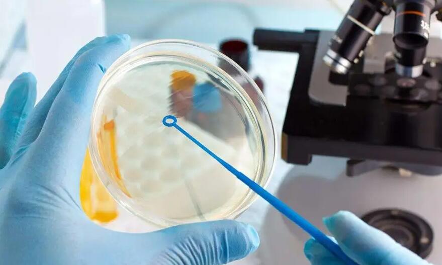 廣州第三代試管 廣州市第一人民醫院試管嬰兒的成功率: ‘b超如何測男女’