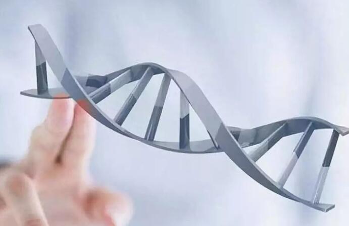 寧波做試管好嗎 2023寧波試管嬰兒醫院排名，附試管成功率、費用參考 ‘營口伊人26周四維看男女準么’