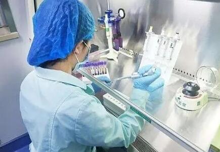 合肥捐卵群 合肥105試管成功案例多么？影響試管成功的因素有哪些？ ‘b超單上橢圓是男是女’