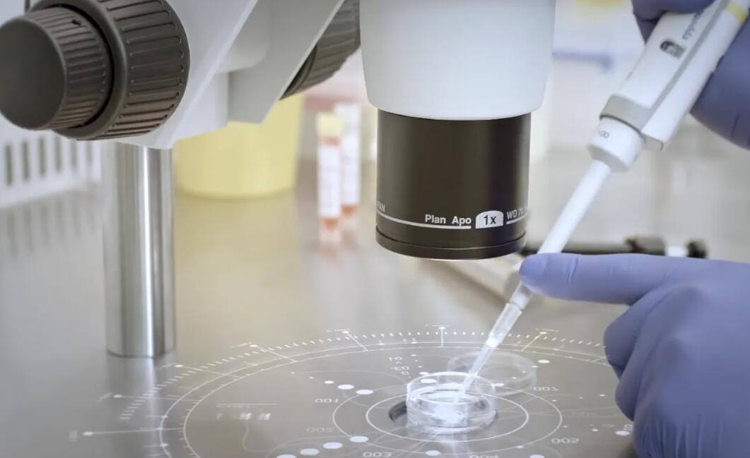 亳州供卵試管 亳州市人民醫(yī)院 ‘懷孕孕囊10*11*18男孩還是女孩’