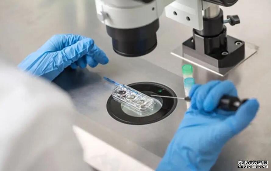 山東助孕QQ 山東試管嬰兒醫(yī)院選擇技巧 ‘女孩的四維圖片’