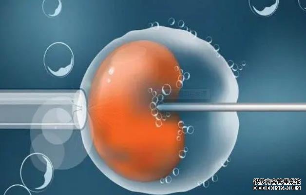 一文解讀強的松保胎的原理，強的松的這5大功效不可不知