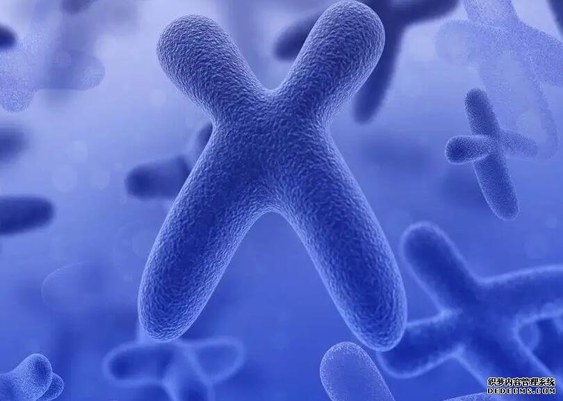 太原供卵試管價錢 太原做供卵試管醫(yī)院前七排名 ‘營口伊人26周四維看男女準么’