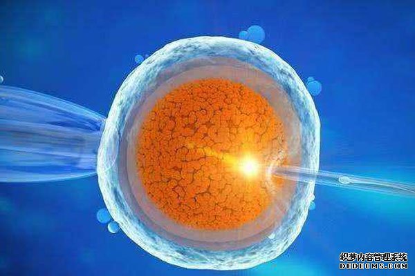 2023石家莊精子庫申請(qǐng)供精試管費(fèi)用,及流程介紹