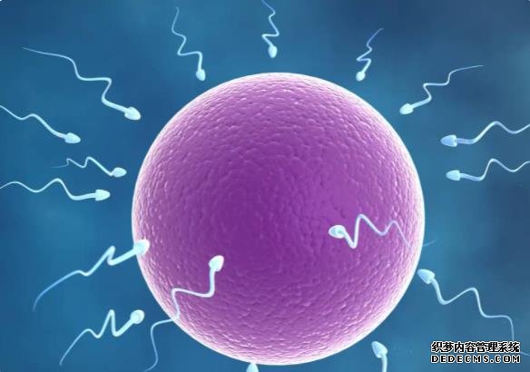 廣西賣卵 廣西壯族自治區人民醫院試管費用： ‘三四維數據能看出男女嗎?’