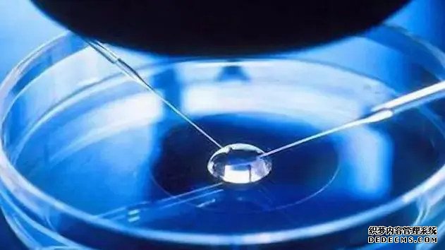 哪里杭州代生比較好 杭州供卵試管醫院排名 ‘孕囊三個數在線算男女’