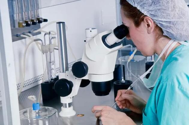 浙江試管費用 浙江溫州有哪些可以申請供卵做試管嬰兒的醫(yī)院? ‘95%酒精測男女圖片結(jié)果5個小時就沉淀了’