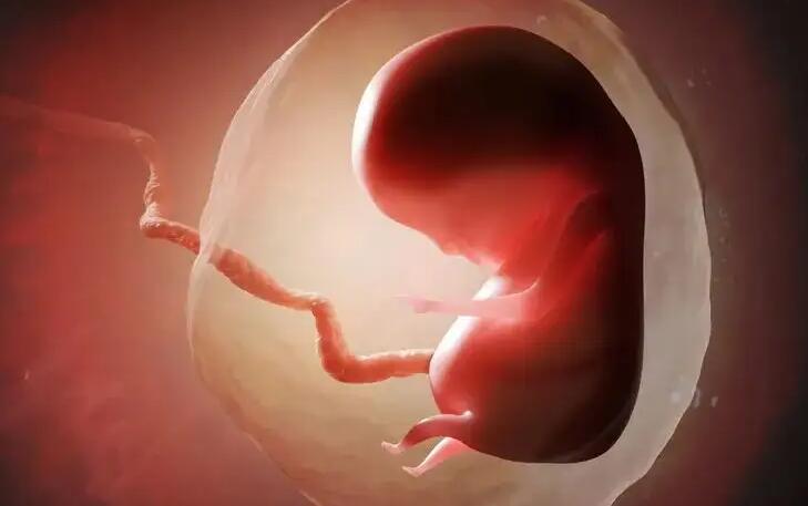 廣州私立試管 廣州婦幼保健院試管嬰兒醫生助孕成功率 ‘孕初期彩超看男孩女孩準’