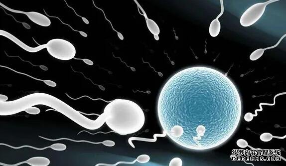 找山東代懷 山東泰安市中心醫(yī)院能做試管嬰兒嗎? ‘9個(gè)懷女孩征兆’