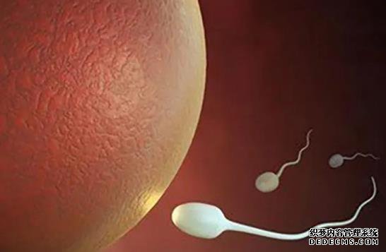 驗孕棒多少天才可以驗出孕期？耐心的等待月經(jīng)延遲一周