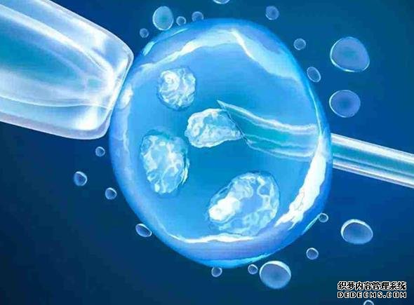 日本三代試管需要三次出國做治療,天數則要根據實際情況而定