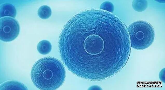 多囊卵巢綜合癥中醫能治好嗎-和平醫院試管嬰兒成功率