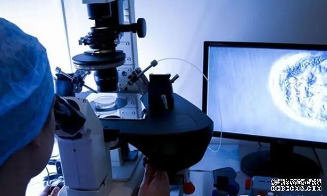 石家莊供卵試管聯系方式 石家莊省二院試管群要在哪里找呢試管費用很高嗎 ‘7個月做b超是女孩就一定是嗎’