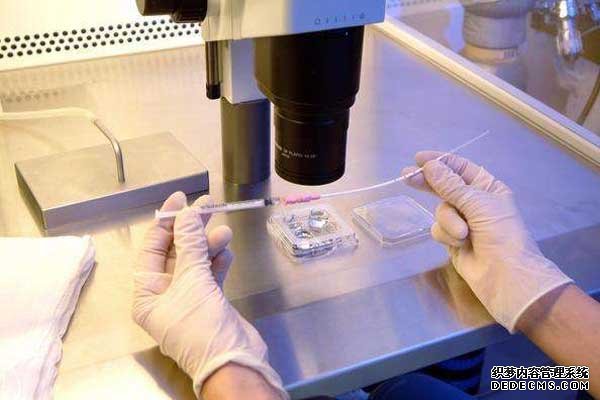 深圳??微信 深圳三代試管包生男孩價格多少？ ‘八個月做b超看到小雞了生下來是女’