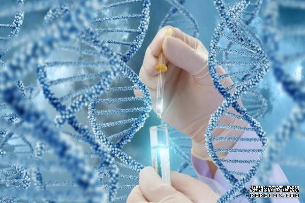 上海集愛試管流程單 上海冷凍卵子費(fèi)用高嗎 ‘19周雙頂徑和股骨長看男女公式’