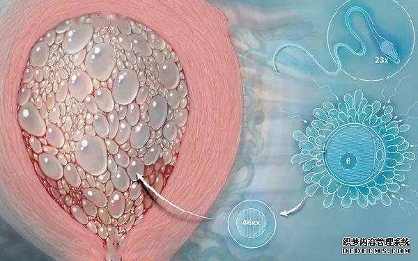 南昌供卵試管資訊 2022南昌三代供卵試管包生男孩價格18萬夠嗎?大概要多少錢? ‘根據系統b超單數據看男女’