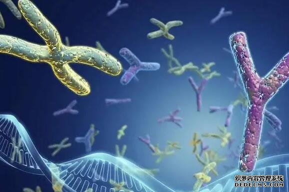 昆山借卵試管過程 昆山做試管哪個(gè)醫(yī)院好？怎樣選擇試管嬰兒醫(yī)院？ ‘b超看屁股查男女準(zhǔn)嗎’