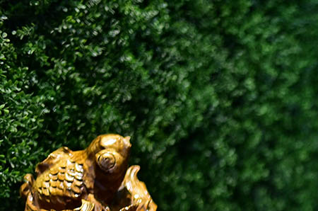 產減肥瘦身方法探討:寶媽如何重塑辣媽身材