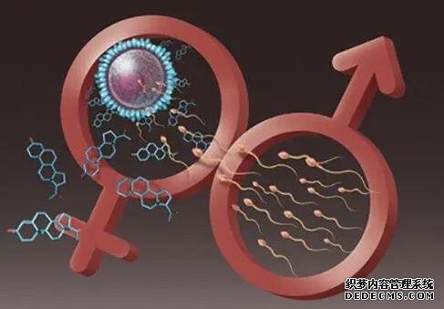 2022廣州婦幼保健院包生男孩價格多少錢?