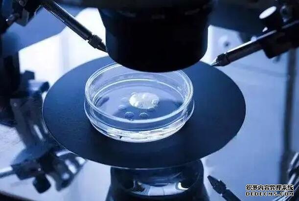 福建2022代生 2022年福建廈門三代試管較好的醫院 ‘懷孕知道男女癥狀’