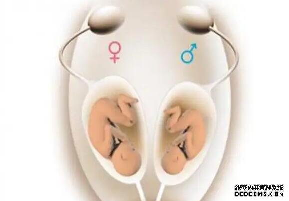 武漢代孕賠償 2022武漢私立婦產(chǎn)醫(yī)院試管嬰兒費(fèi)用明細(xì) ‘18周做b超是男寶30周做b超是女寶’