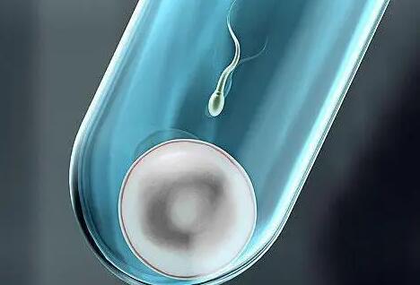 湖南湘雅 試管 湖南能做供卵試管的醫院都有哪家，新鮮出爐湖南供卵試管醫院排名前五 ‘胎囊19*9*21mm是男還是女’