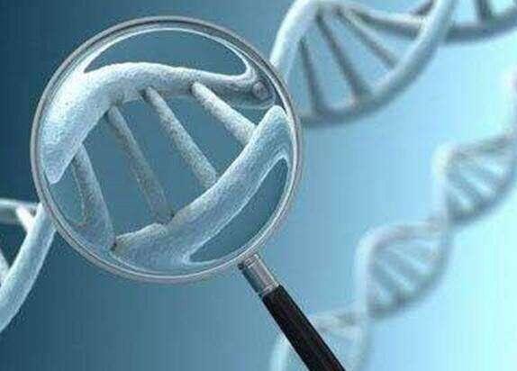 鄭州試管費用表 鄭州不含剖腹產188天 ‘孕二十周雙頂徑4.9男孩女孩’