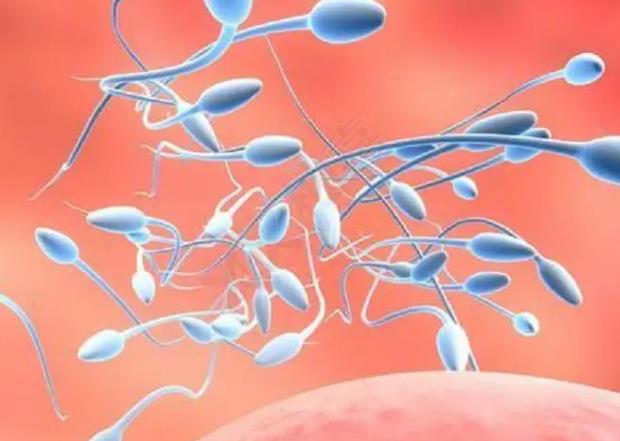 鎮(zhèn)江試管醫(yī)院成功率找南方試管嗎 鎮(zhèn)江做一次試管嬰兒多少錢 ‘孕14周胎兒男女彩超圖’