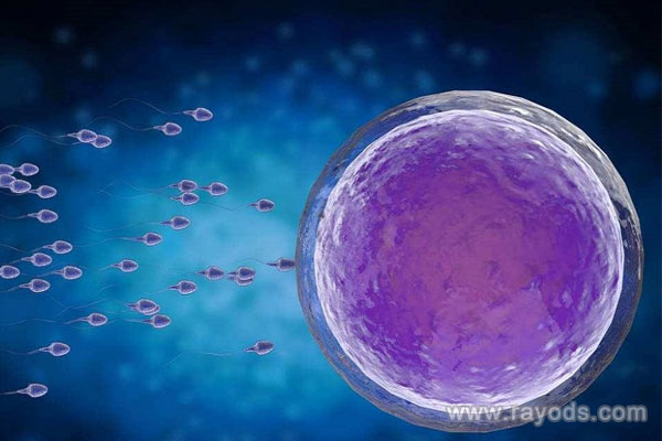 卵泡萎縮沒有任何癥狀