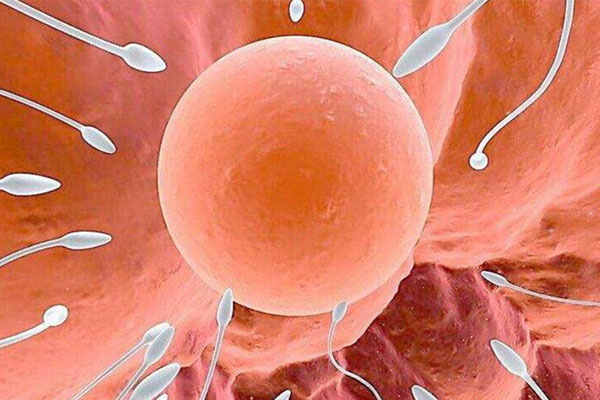 上海省解放軍第940醫院做試管收費怎么樣