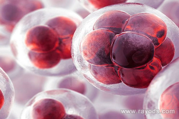 卵泡萎縮做試管能不能成功