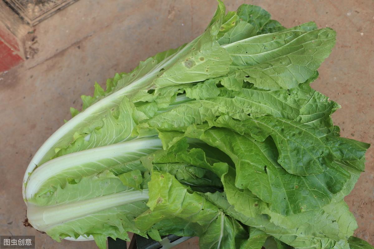 生活中的新生兒窒息因有哪些?不合理的蓋被導致寶寶窒息最常見