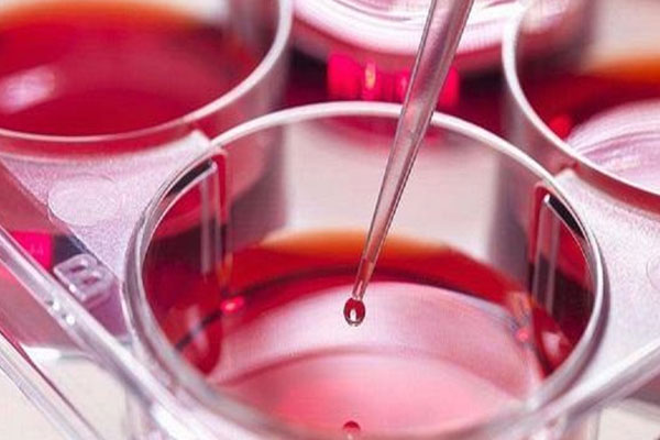 在上海做第二代試管大概要花多少錢