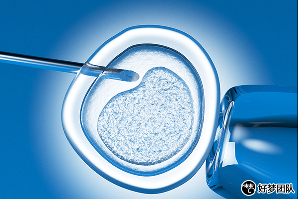 助孕試管費(fèi)用,試管助孕