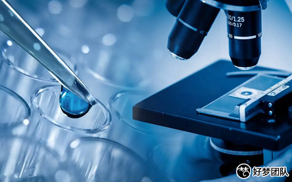 代孕試管費(fèi)用,代懷咨詢