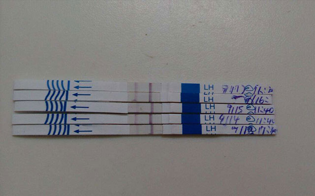 看排卵試紙的方法