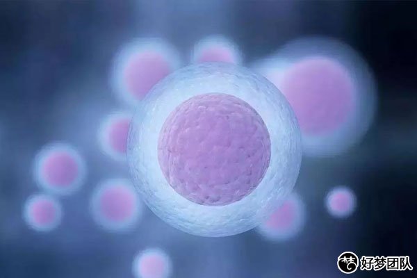 助孕專科聯盟來助孕,讓患者少走冤枉路