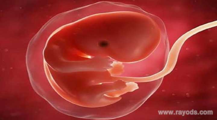 雙側(cè)輸卵管堵塞做試管嬰兒的成功率是多少