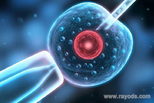 上海上海市人民醫院試管嬰兒成功率是多少