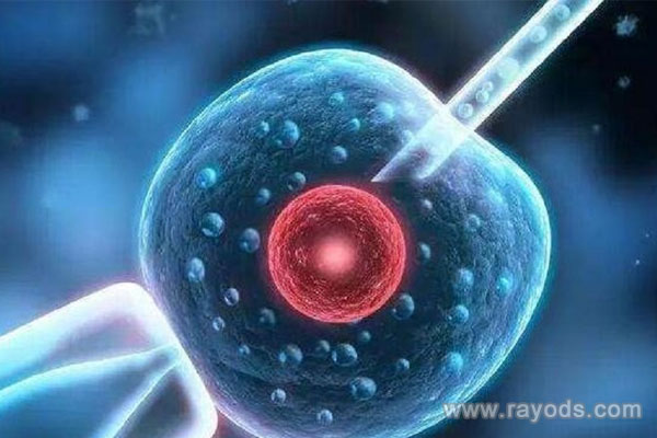 助孕試管費(fèi)用,試管代懷網(wǎng)