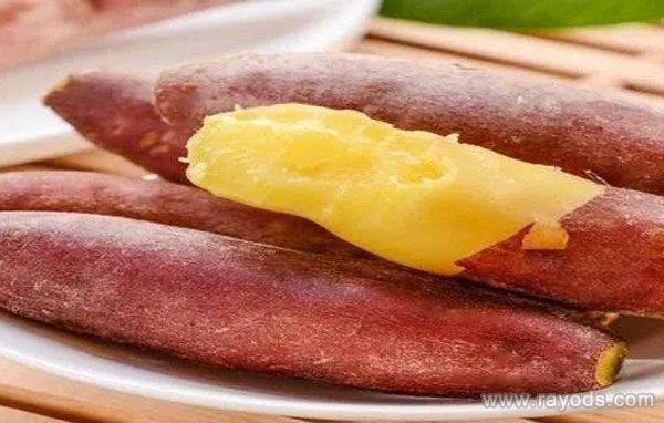 孕婦吃紅薯注意事項