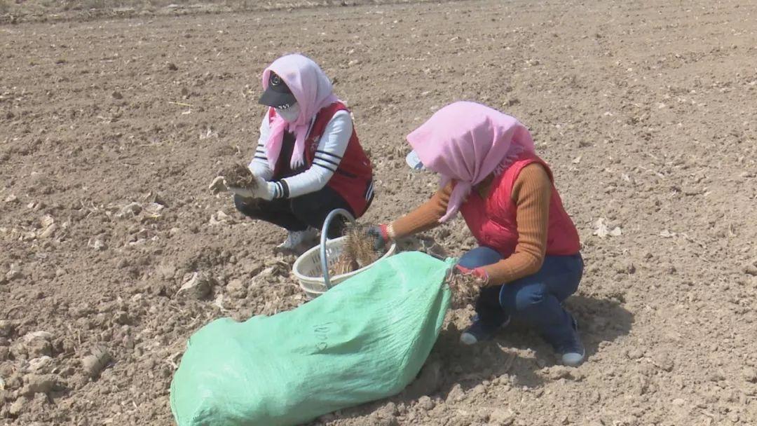 孩子吐字不清并非正常現(xiàn)象