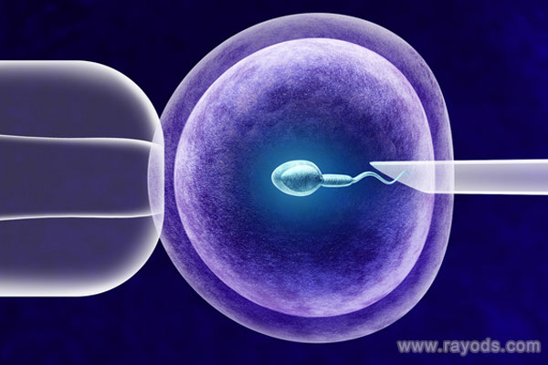 北醫三院能不能做供精人工授精
