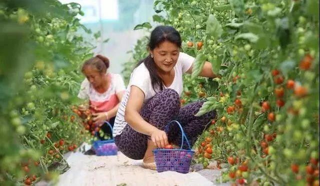 孩子外出時(shí)如何進(jìn)行防曬措施?有效防曬方法是什么?