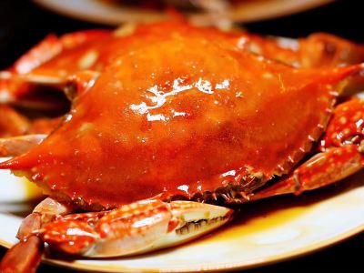 兒童屈光不正的形成及近視恢復方法探討