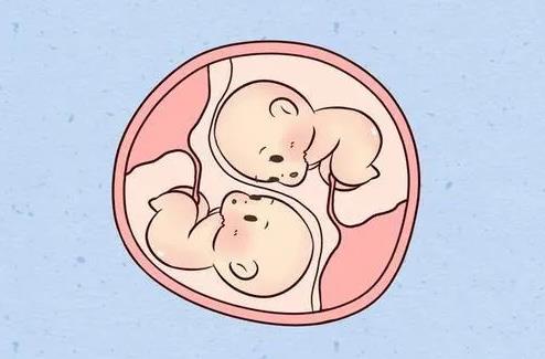 2022年浙江助孕 浙江供卵生殖中心排名一覽？附三代供卵試管嬰兒醫(yī)院名單？ ‘懷男孕三個(gè)月癥狀’